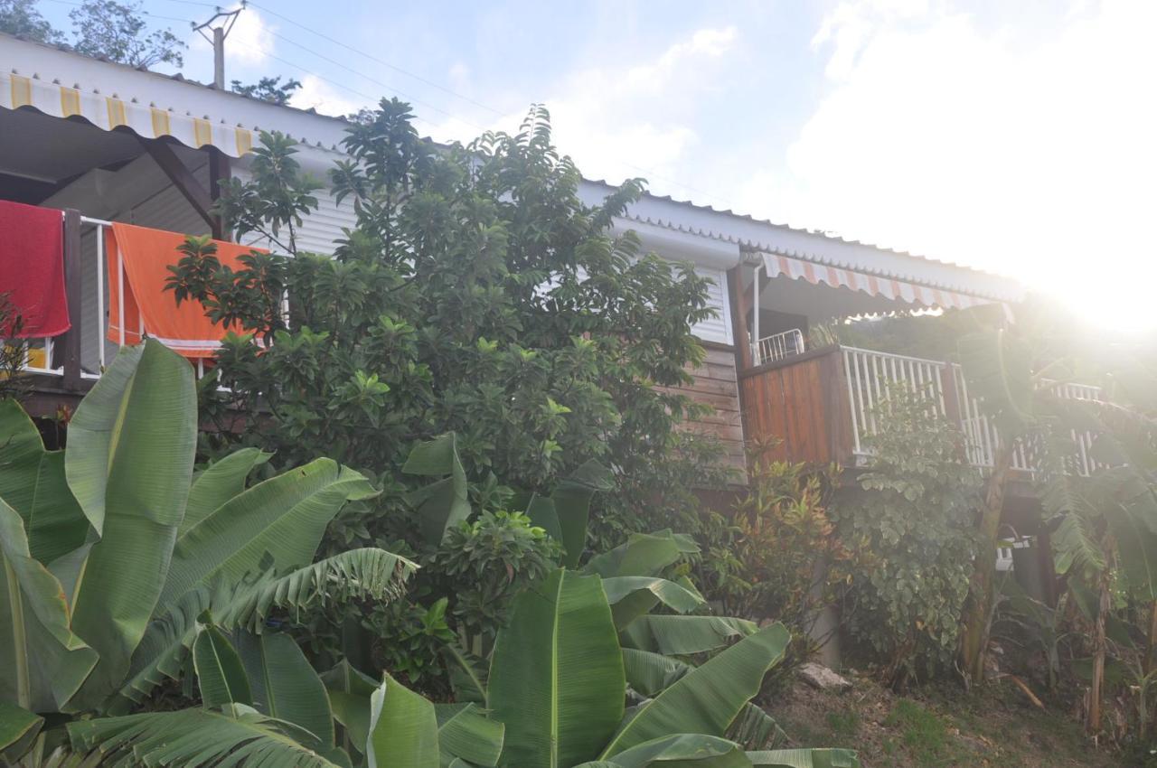 Les D'arly Vakantiehuis